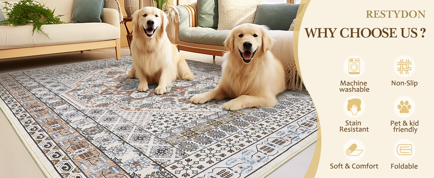 Restydon 8x10 Area Rugs for Living Room, UltraThin