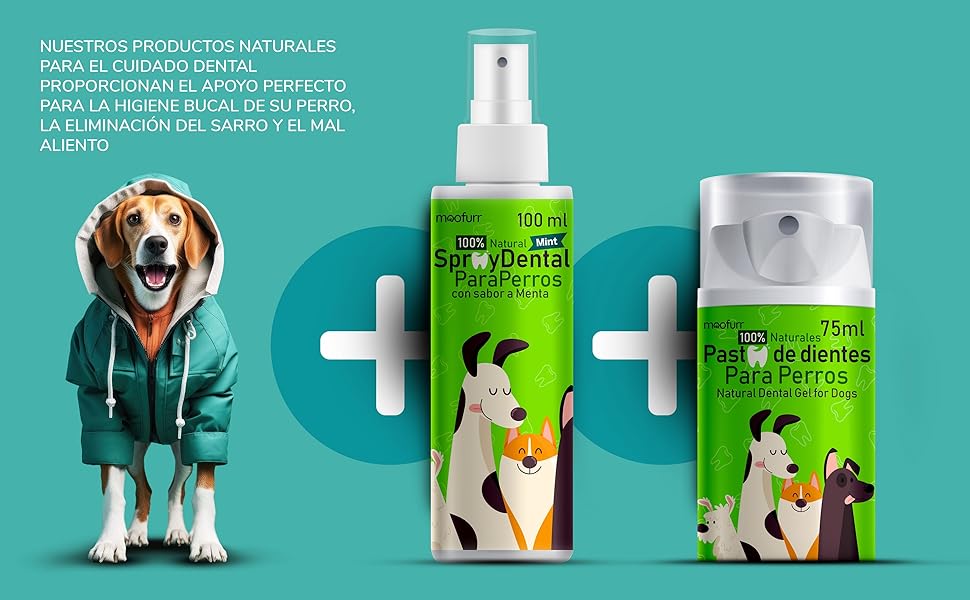 productos para perros