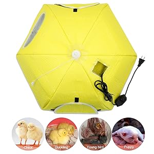 Small manufacture image 1