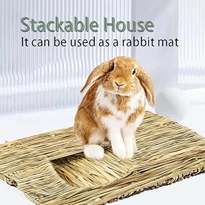 Grass Bunny House Foldable Woven Animal Hut Play Hideaway Bed Hay Mat Chew Toy