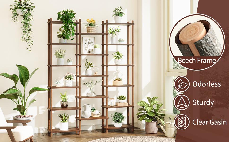 beechwood frame