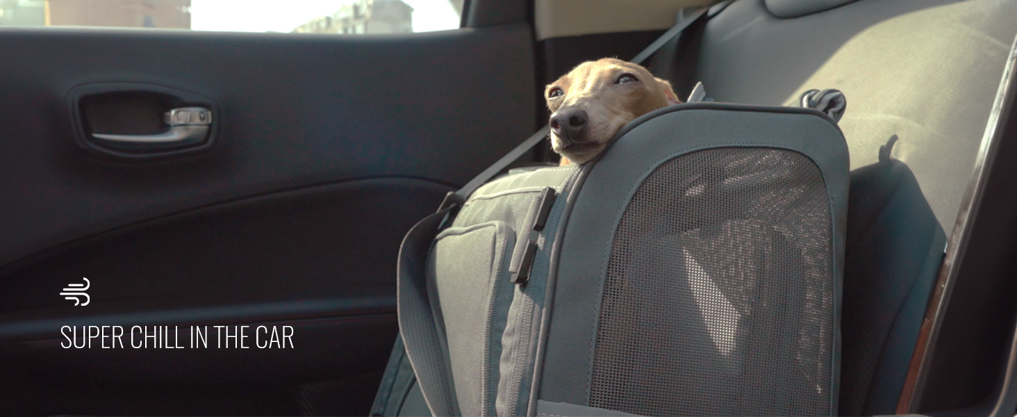 Wildgogo Pet Carrier Fits up to 13lbs Cat & 11lbs Medium Dog