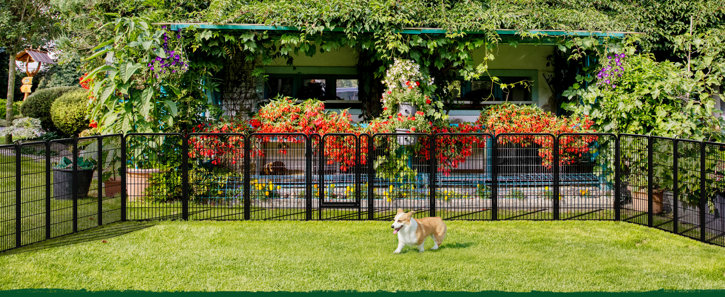 dog playpen