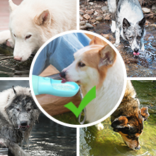 water bottle for dog