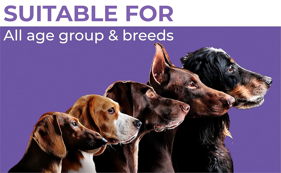 anti itch allergy supplement soft chews dogs cats itching scratching hotspots shedding