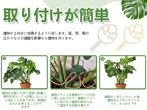 モンステラ 鉄スタンド　黒 モンステラ 鉄スタンド 黒 観葉植物 見易い ガーデニング モンステラ
