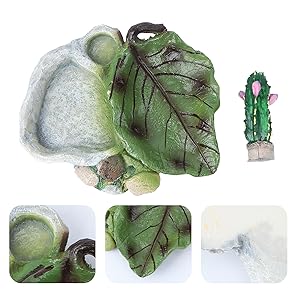 Reptile Water Bowl