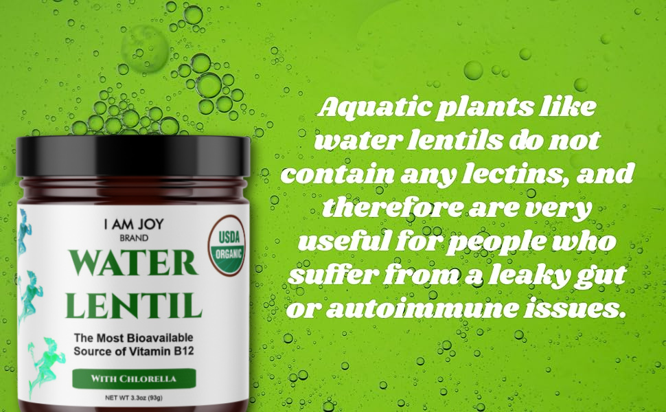water lentil