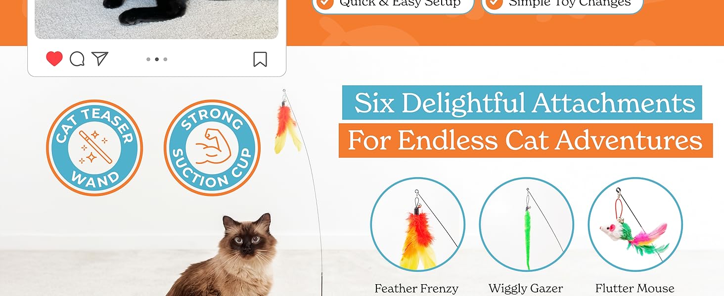 A playful cat enjoys multiple ways to interact with a versatile toy, keeping it engaged and active