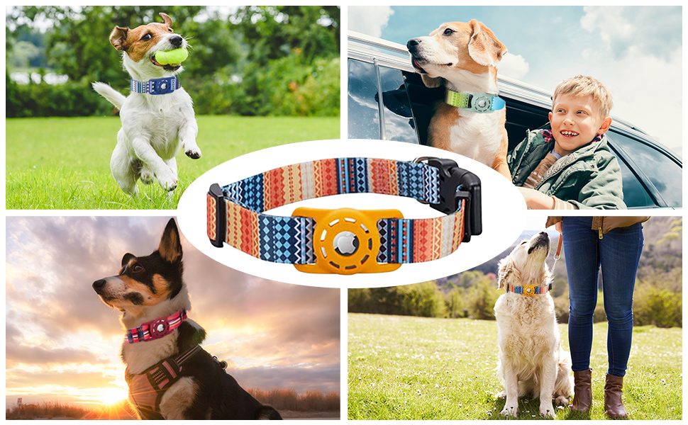 AirTag Dog Collar, Padded Apple Air Tag Dog Collar