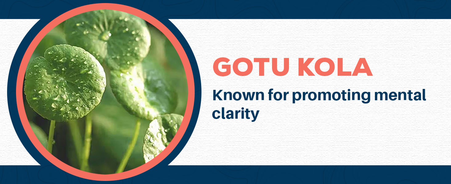 supplements extract bacoba 345 mg bacopin bicopa monnier bocopa vitamin brahmi bacomind herb