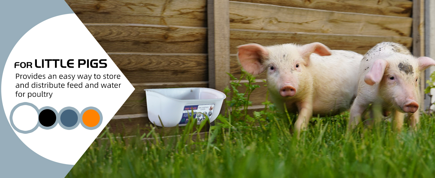 water feeder for chickens