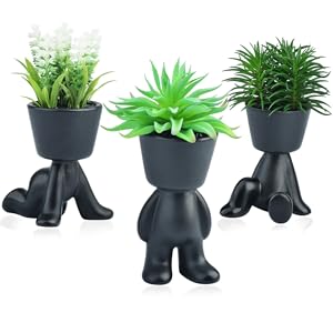 succulents plants artificial
