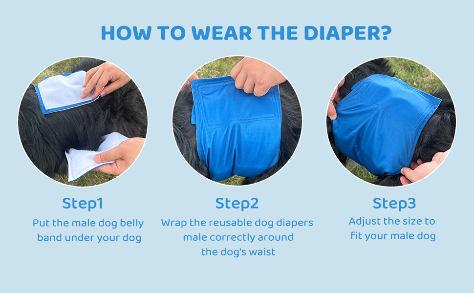 BLIWINPT Reusable Dog Diapers Male High Absorbing Belly