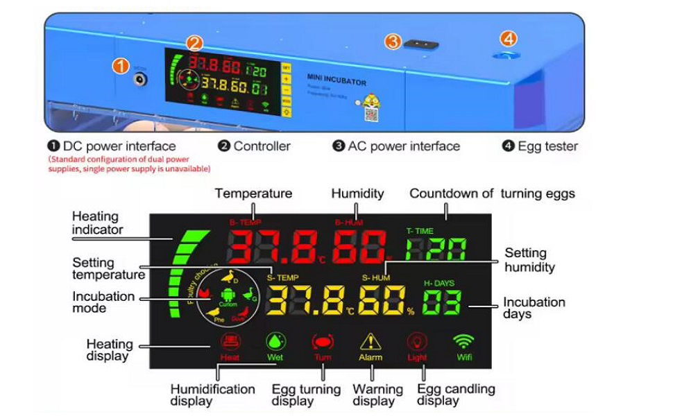 Eggs Automatic Egg Incubator