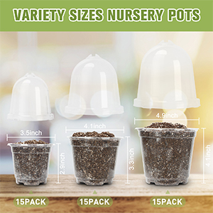 plant nursery pots