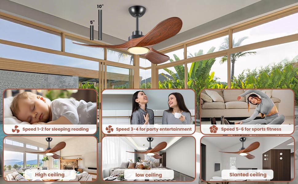 Ceiling fan with lights