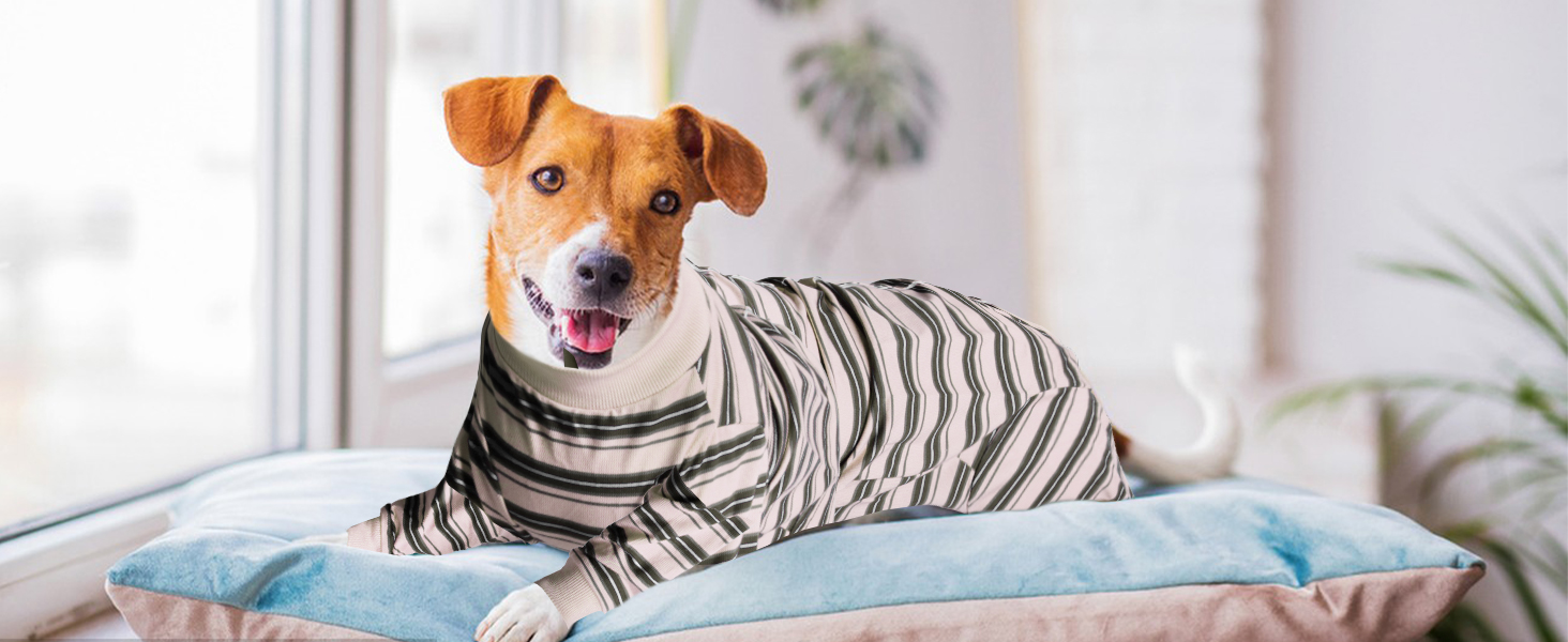 FEimaX Dog Recovery Suit After Surgery, Pet Abdominal