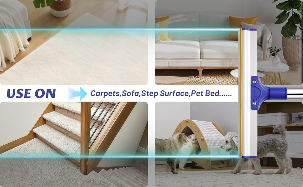 Dog Hair Removal Products