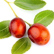 Jojoba Seed