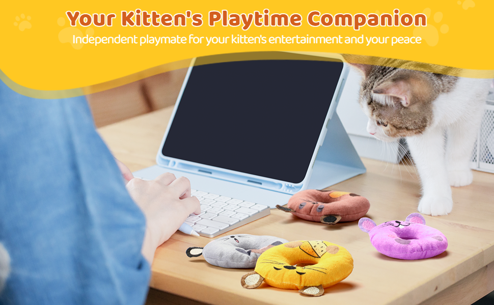 Biubiucat Catnip Toys 4PCS Cat Chew Toy Bite Resistant