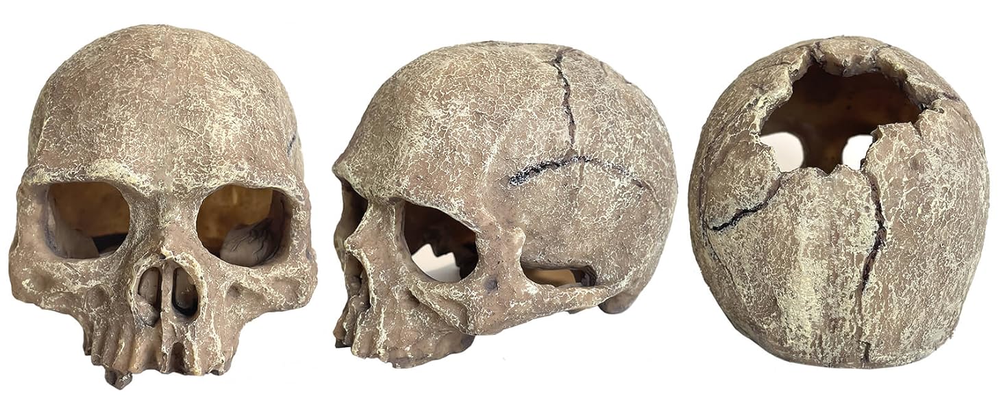 fish tank decorations for 10 gallon tank spongebo