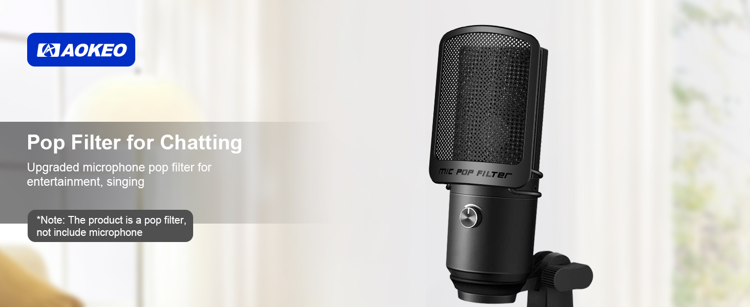 mic pop filter