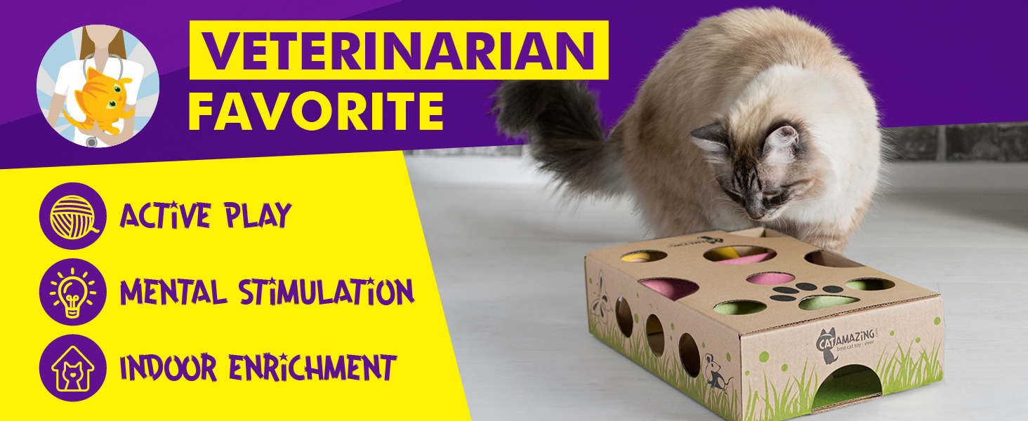 Veterinarian recommended cat toy for adult cats, kittens, senior cat toy, older cat toy puzzle