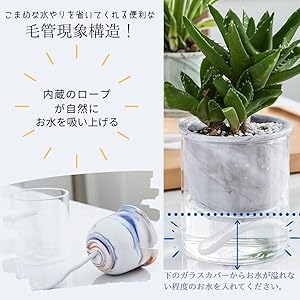 ガラス鉢　3個セット 61vt2ixhACS._UF350,350_QL80_.jpg