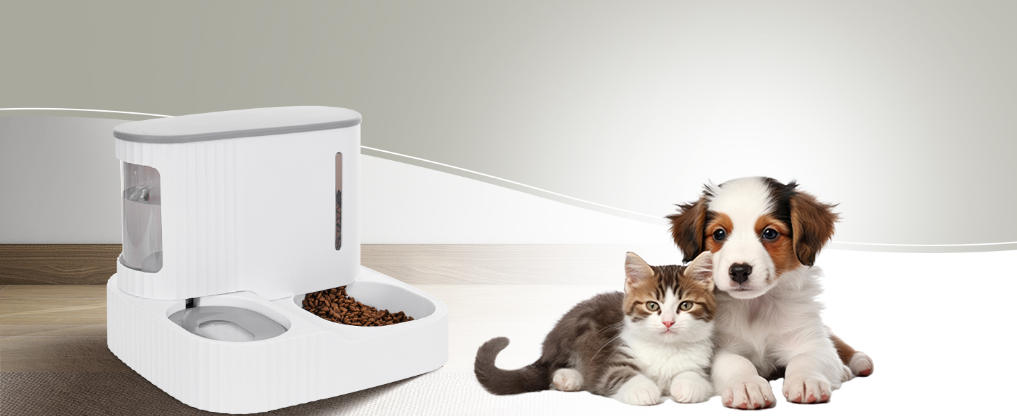 cat feeder and water dispenser