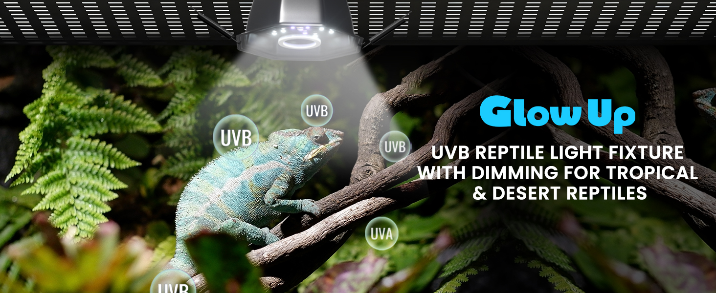 UVB Light for Reptile