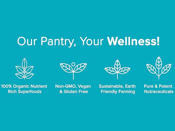 Wellness