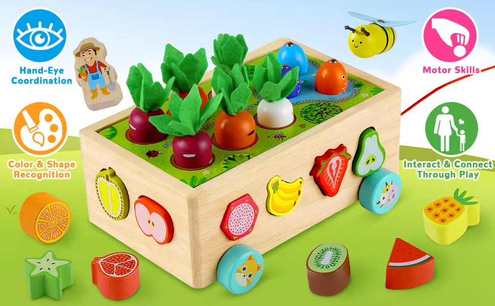 MOONTOY Wooden Montessori Toys for 1 2 Year Old Baby Boys