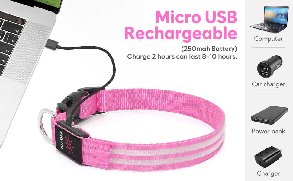 Light up dog collar