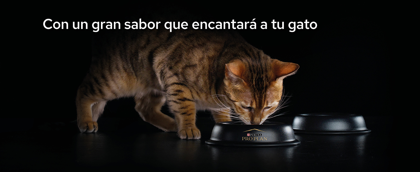 +suplementos para mascotas +alimento complementario +perro +gato