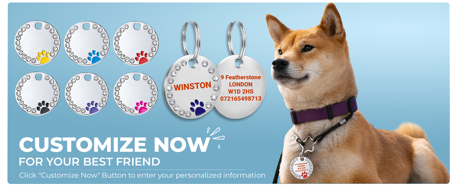 dog tag ID pat collar identity plate Customized Pet ID Tag with Split Ring 
