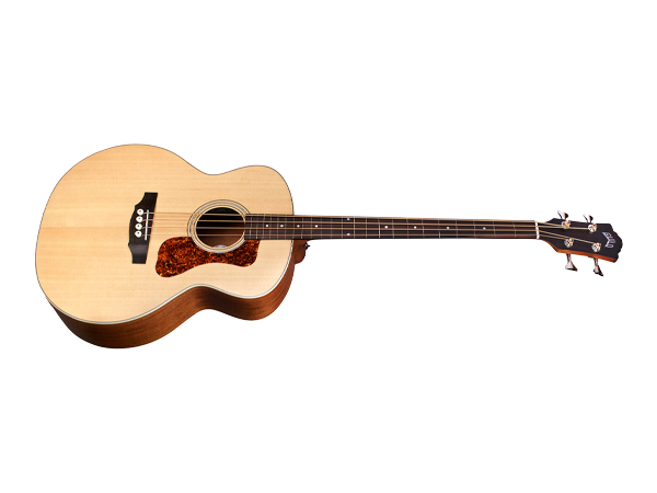 Amazon.com: Guild Guitars B-240E Fretless Acoustic Basses