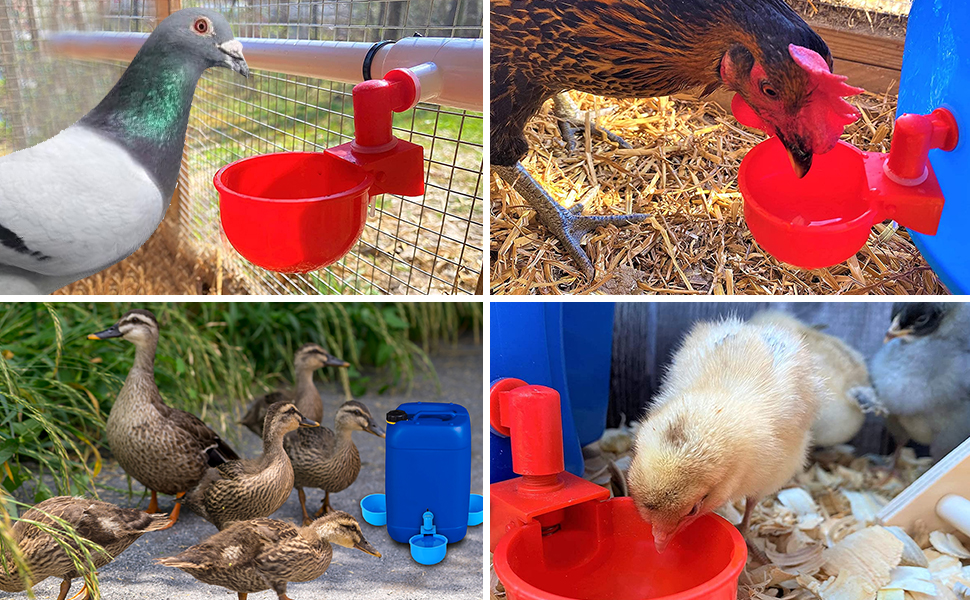 24PCS Chicken Water Cups with PVC Tee Fittings, Automatic