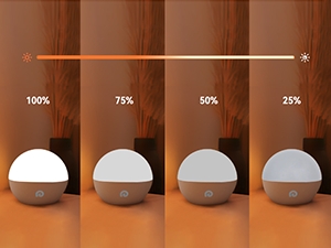brightness adjustable