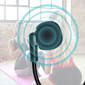 Head Mic Speaker System