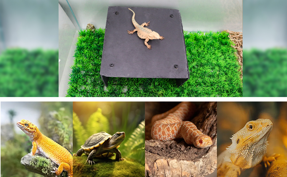 Bearded Dragon Tank Accessories, Slate Rocks for Reptiles, Bearded Dragon Basking Platform
