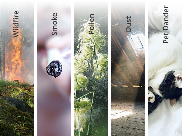 Wildfire, Smoke, Pollen, Dust, Pet Dander