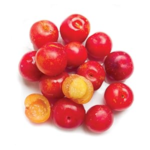 Boost C powered by camu camu