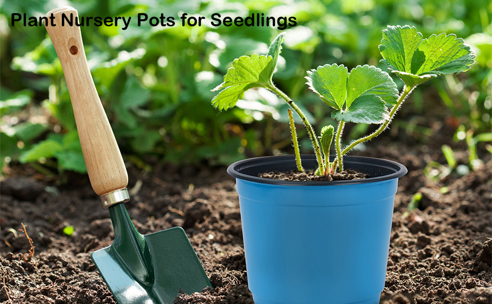plant nursery pots