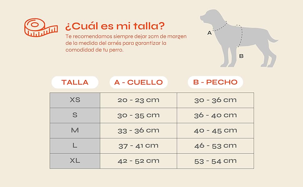 DUKIER - Dog Body Harness, Anti-Pull Body Vest, Adjustable and Heavy Duty for Pets, Breathable Mesh, Pet Accessory with Velcro and Double Closure, Purple, XS 17 aplus content image