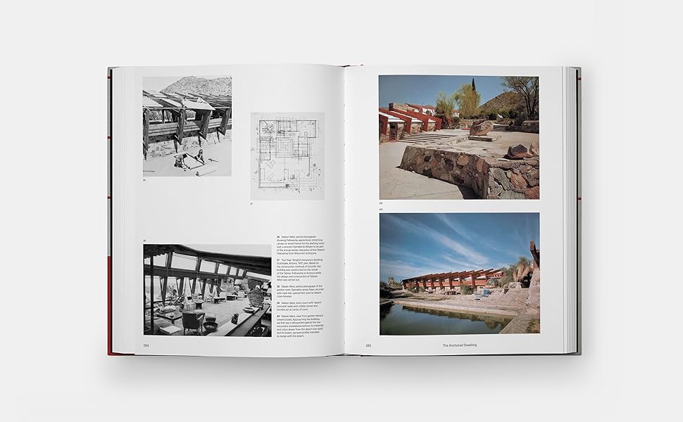 Frank Lloyd Wright: McCarter, Robert: 9781838668723: Amazon