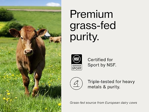 Premium grass-fed purity. Grass-fed source from European dairy cows. Certified for Sport® by NSF.