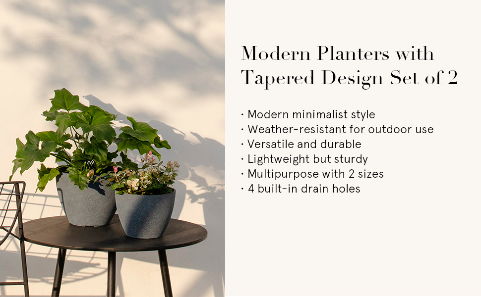 中国 花梨葡萄木瘤木 煎茶盆 香盆 輪花盆 M 8021E Amazon.com: 花盆