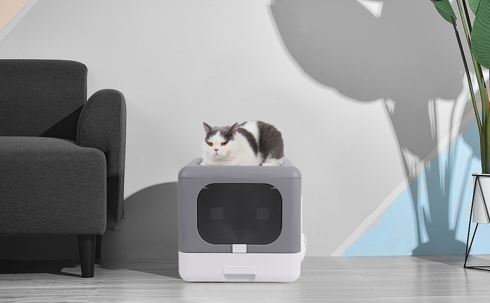 BingoPaw Large Cat Litter Box Kitty Covered Top Entry