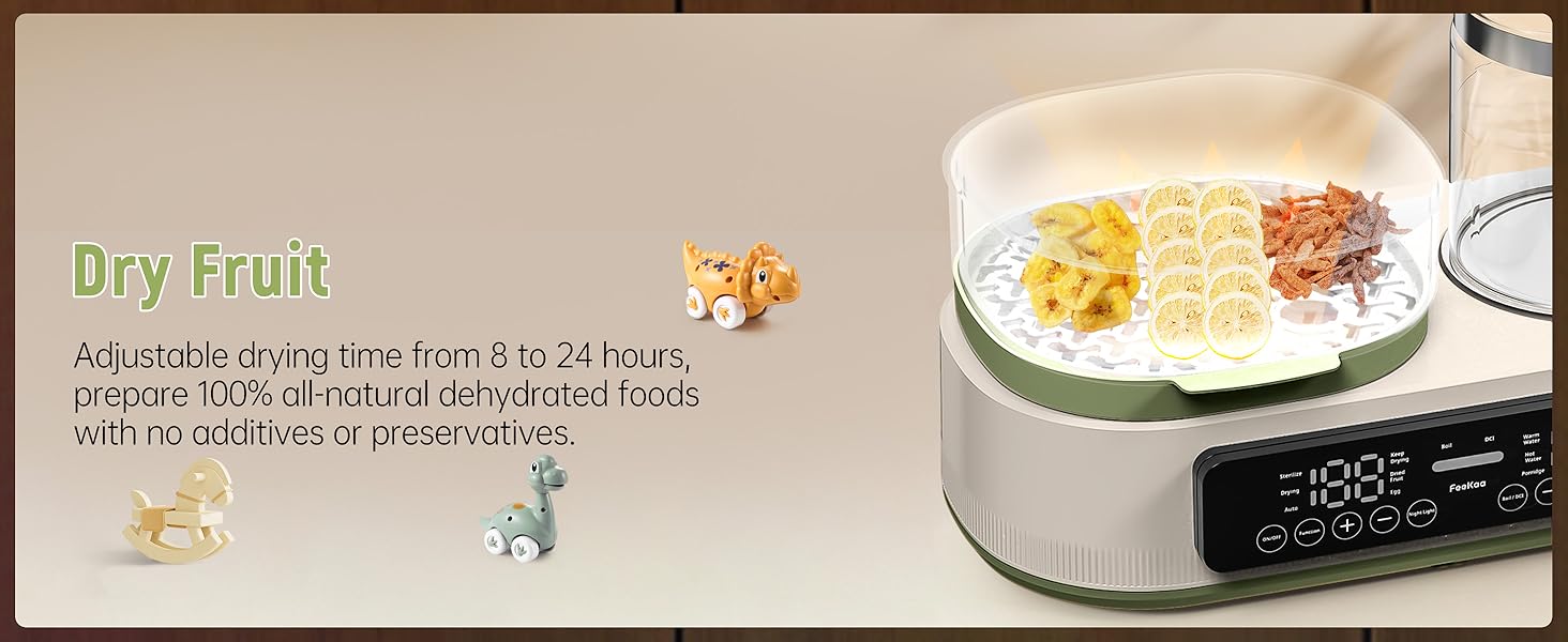 fruit dehydrator